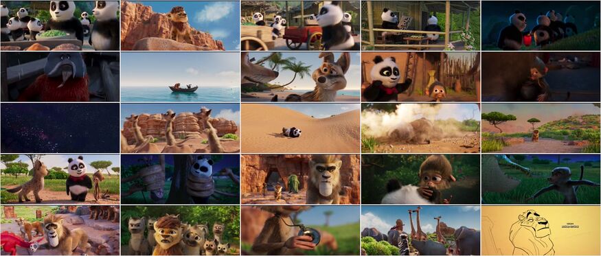 Panda Bear in Africa | Ranime