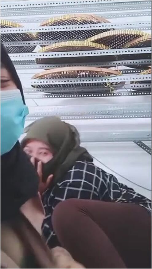 Thumbnail duo jilbab live