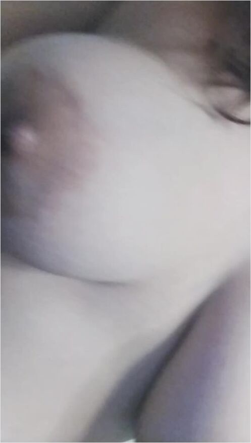  Video Sex Painem Bugil Video Sex Tapir 2 lonte