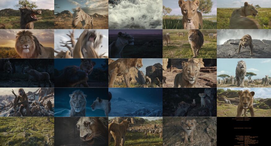 Mufasa: The Lion King | Ranime